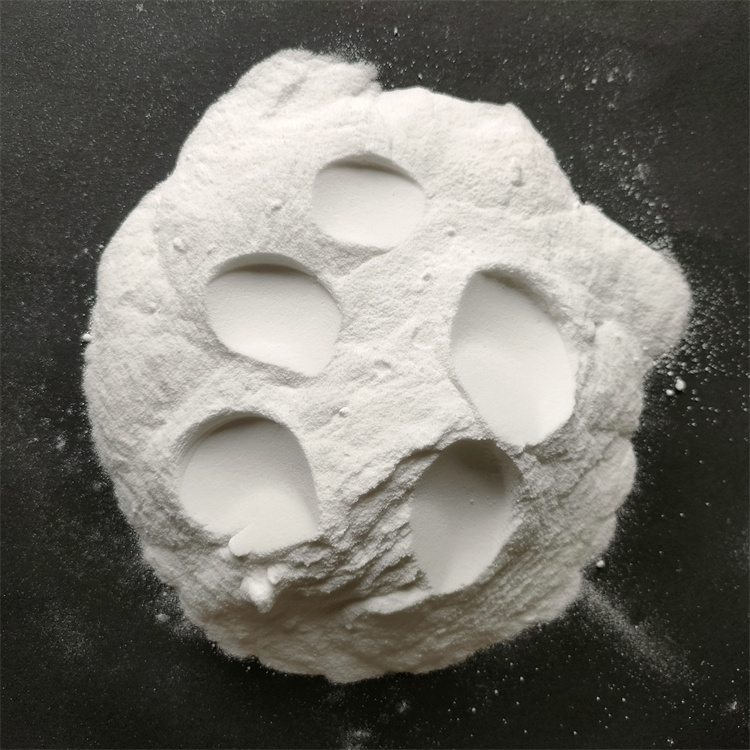 �۠�۱�ϩ����